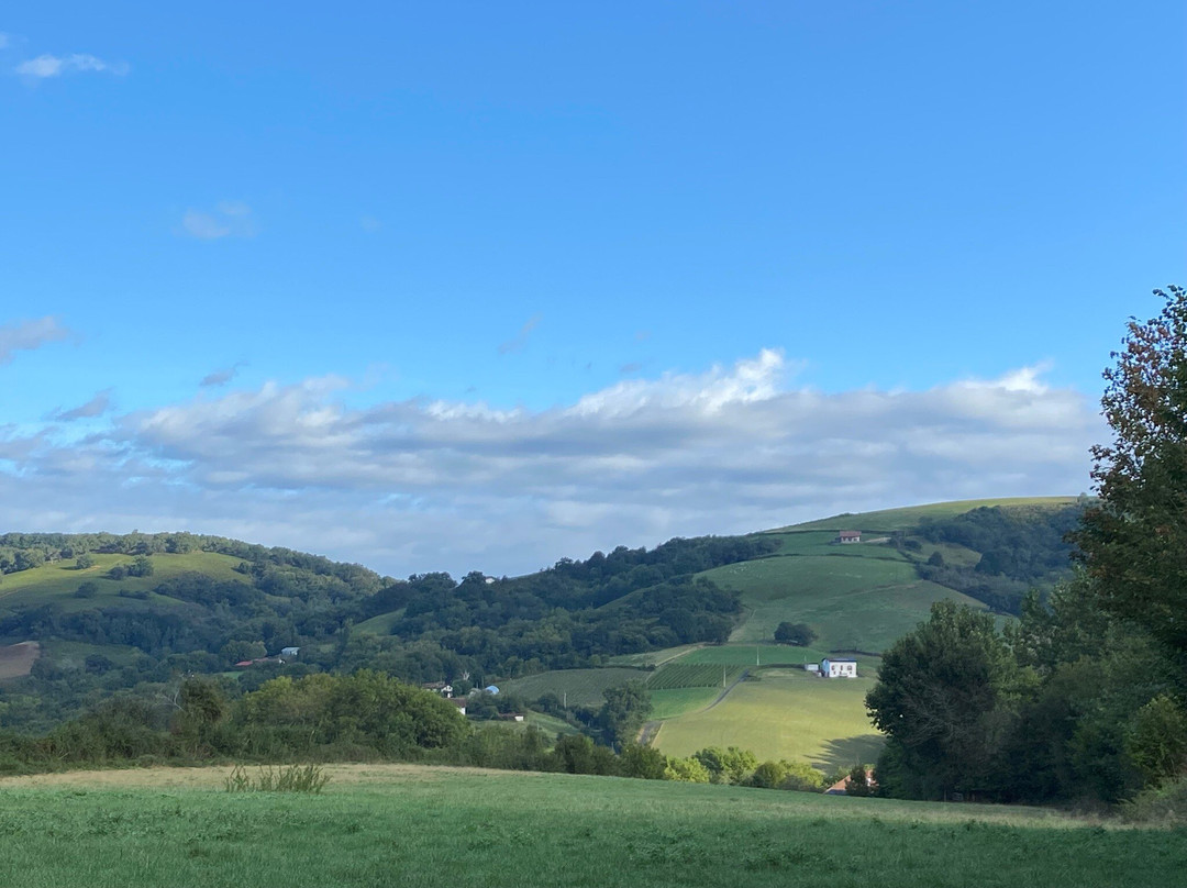 Maison Oppoca Hôtel Restaurant & Spa主图