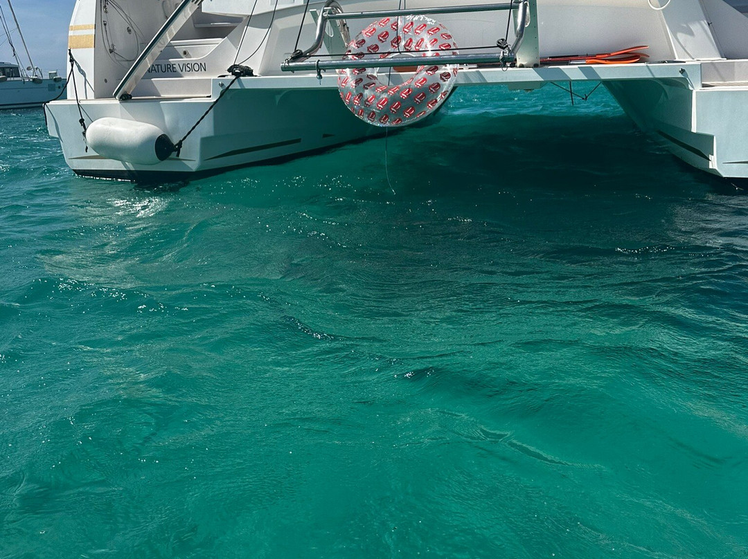 Signature Sailing Charter-摩纳哥城必去景点