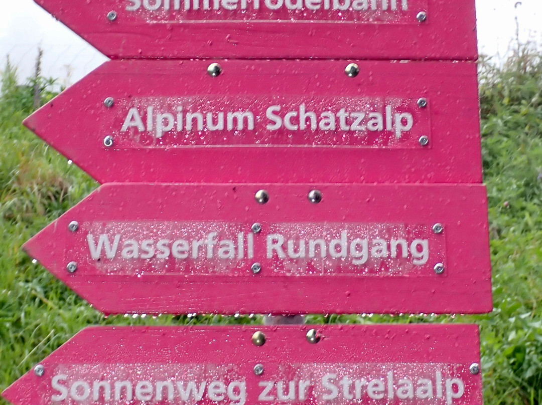 Botanical Garden Alpinum Schatzalp-Davos Platz必去景点