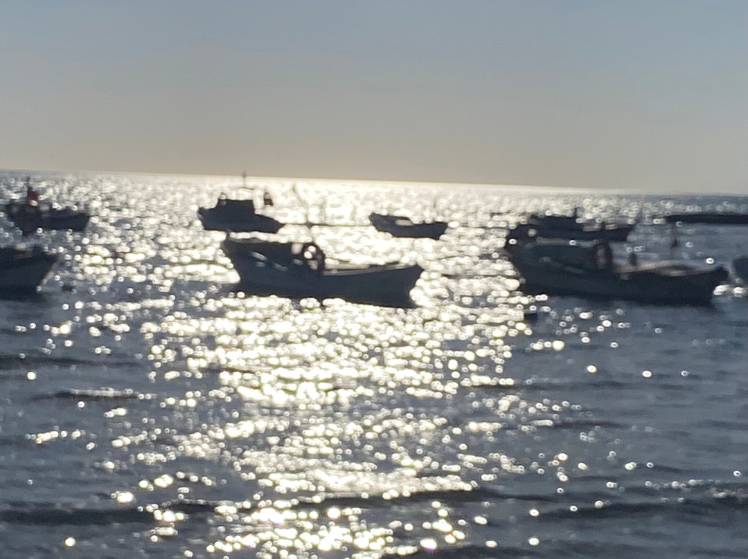 Doganbey-Soke必去景点