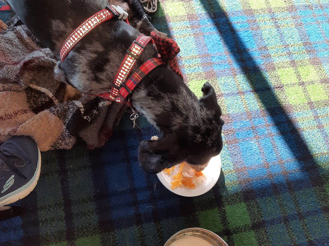 Eyemouth Golf Club-Eyemouth必去景点