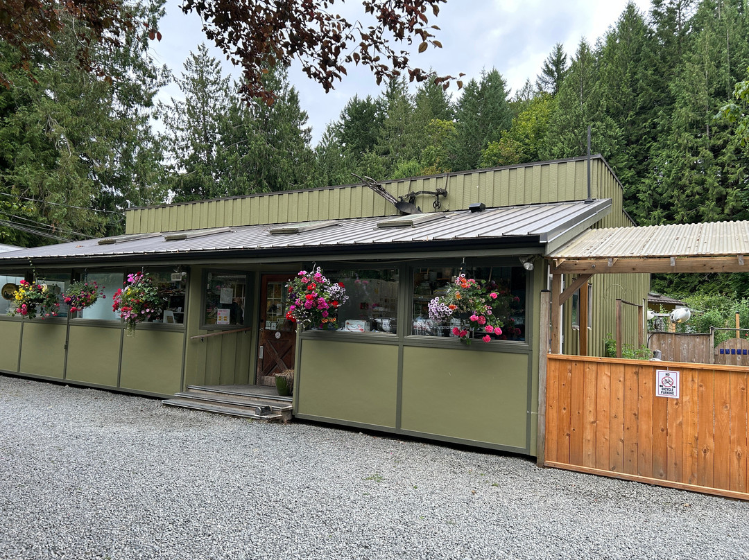 Pender Island Kayak Adventures-Pender Island必去景点