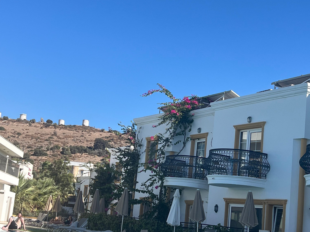 热带海滩酒店主图