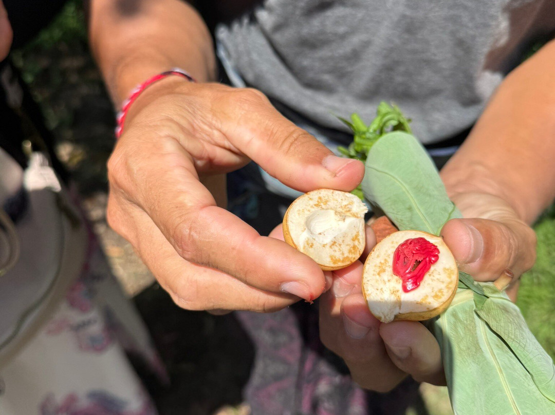 Kubu Terrace Jatiluwih Official-Jatiluwih必去景点