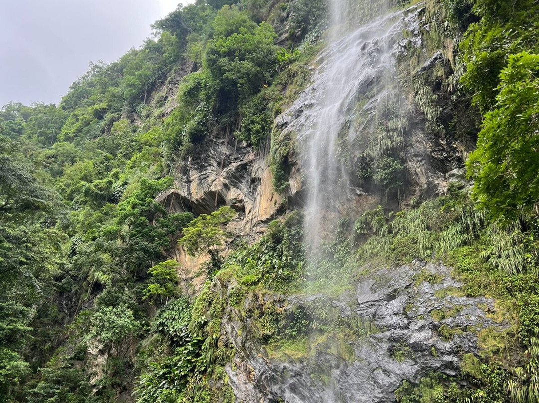 Nick Taxi Servicestt-西班牙港必去景点