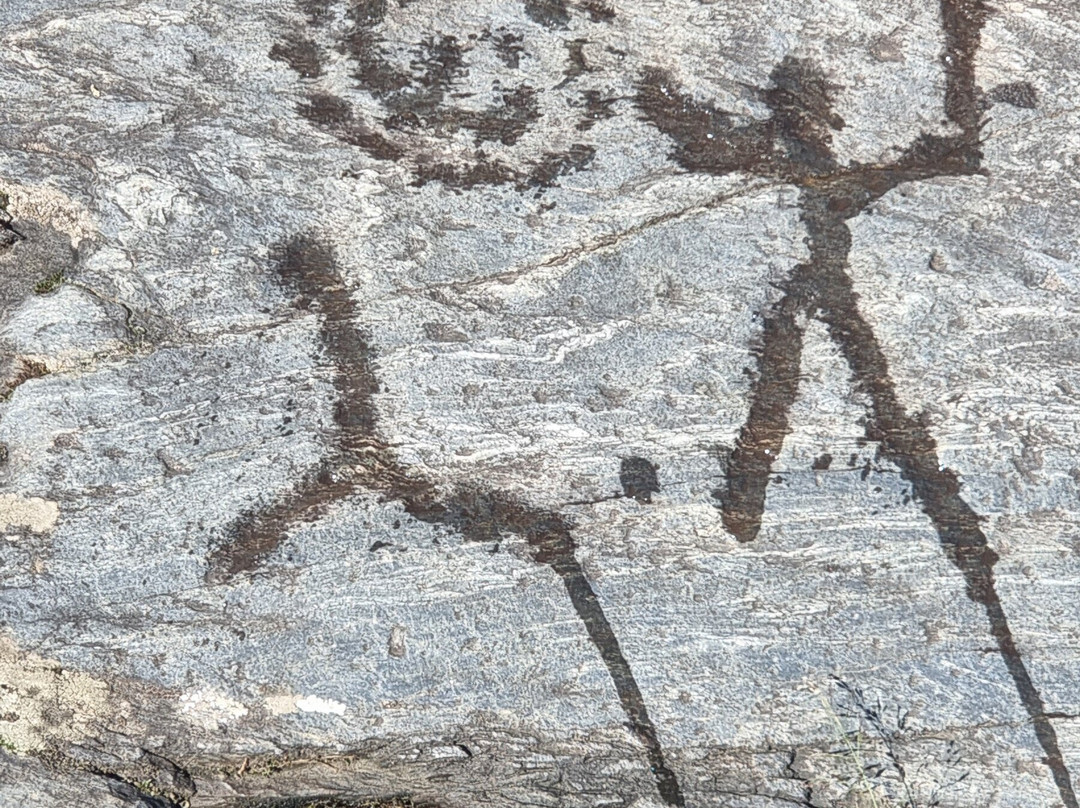 Parco Delle Incisioni Rupestri di Grosio e Grosotto-Grosio必去景点
