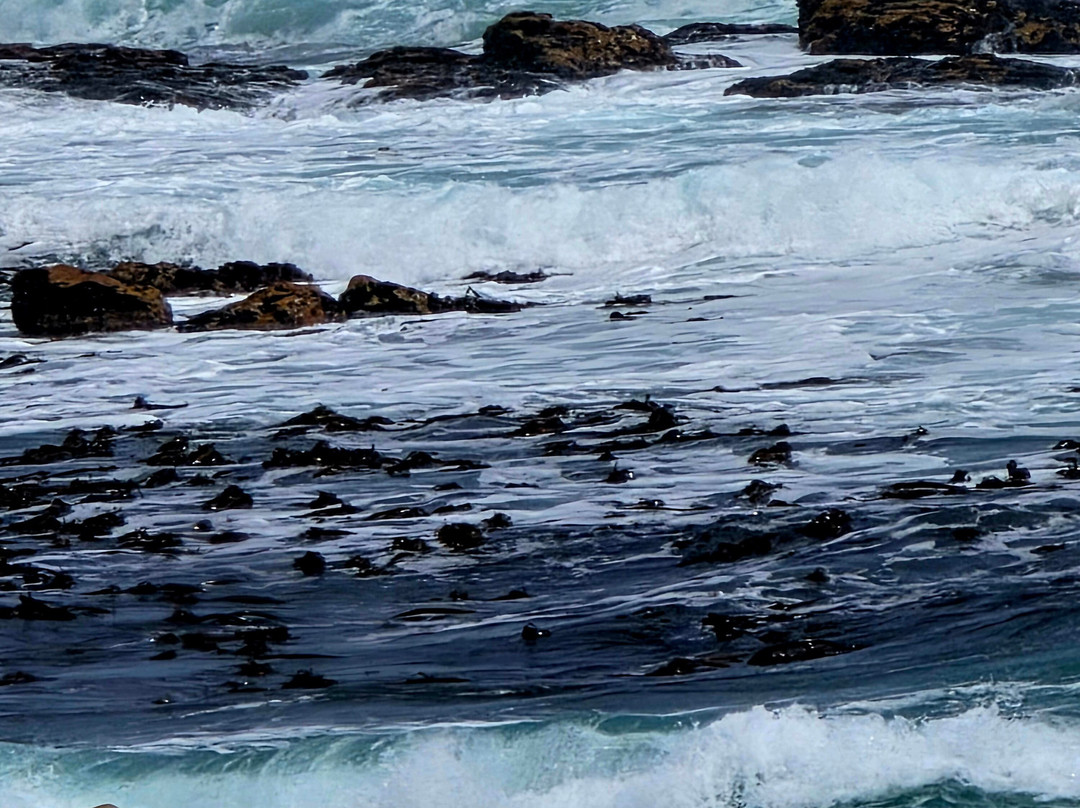 Cape Adventure Zone-开普敦中心区必去景点