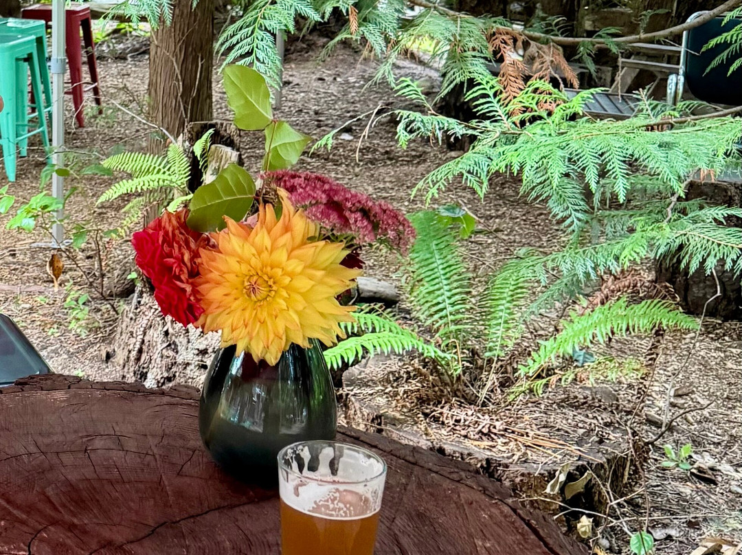 Mayne Island Brewing-Mayne Island必去景点