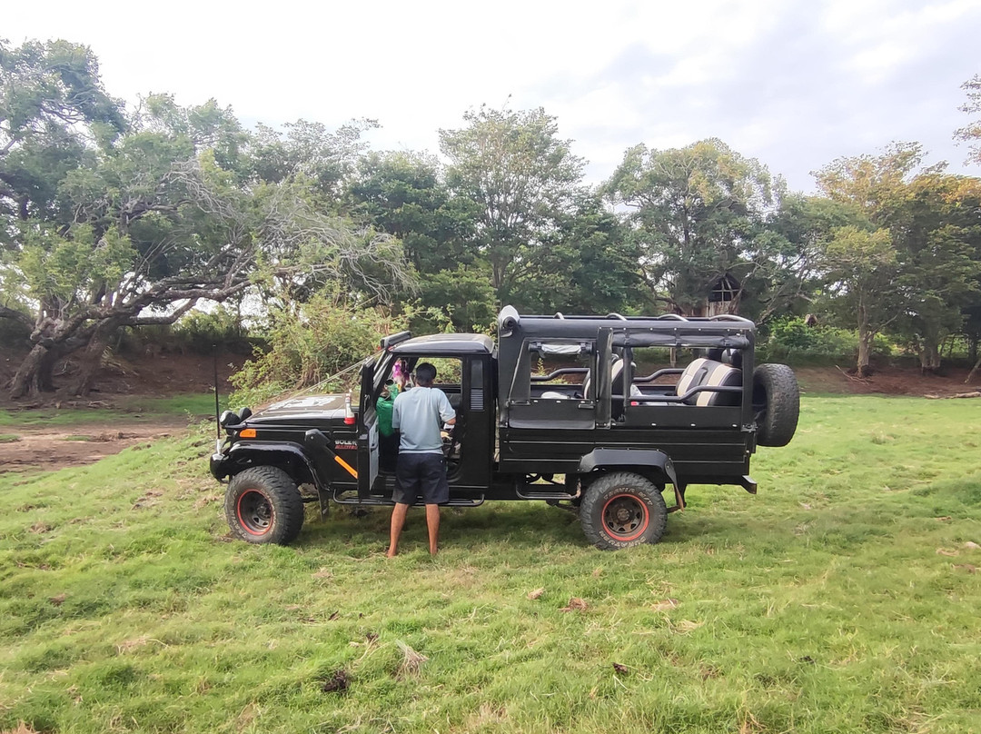 Lakshan jeep safari habarana-哈巴拉娜必去景点