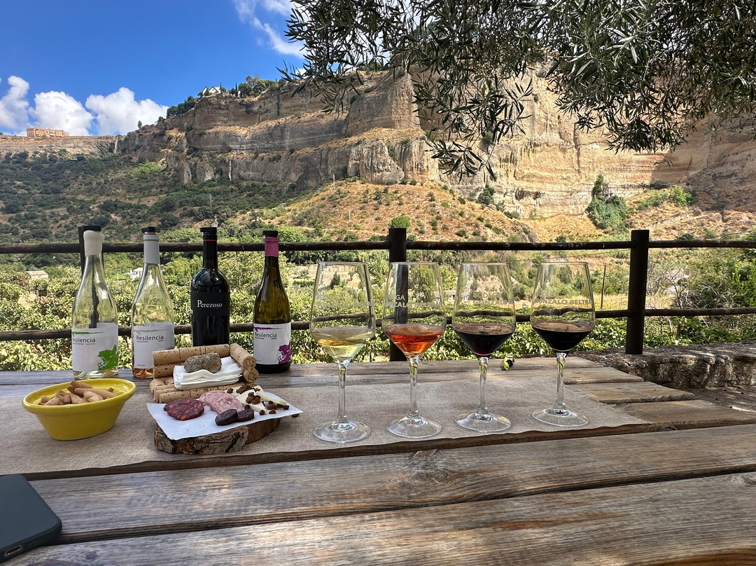 Bodega Gonzalo Beltran-隆达必去景点