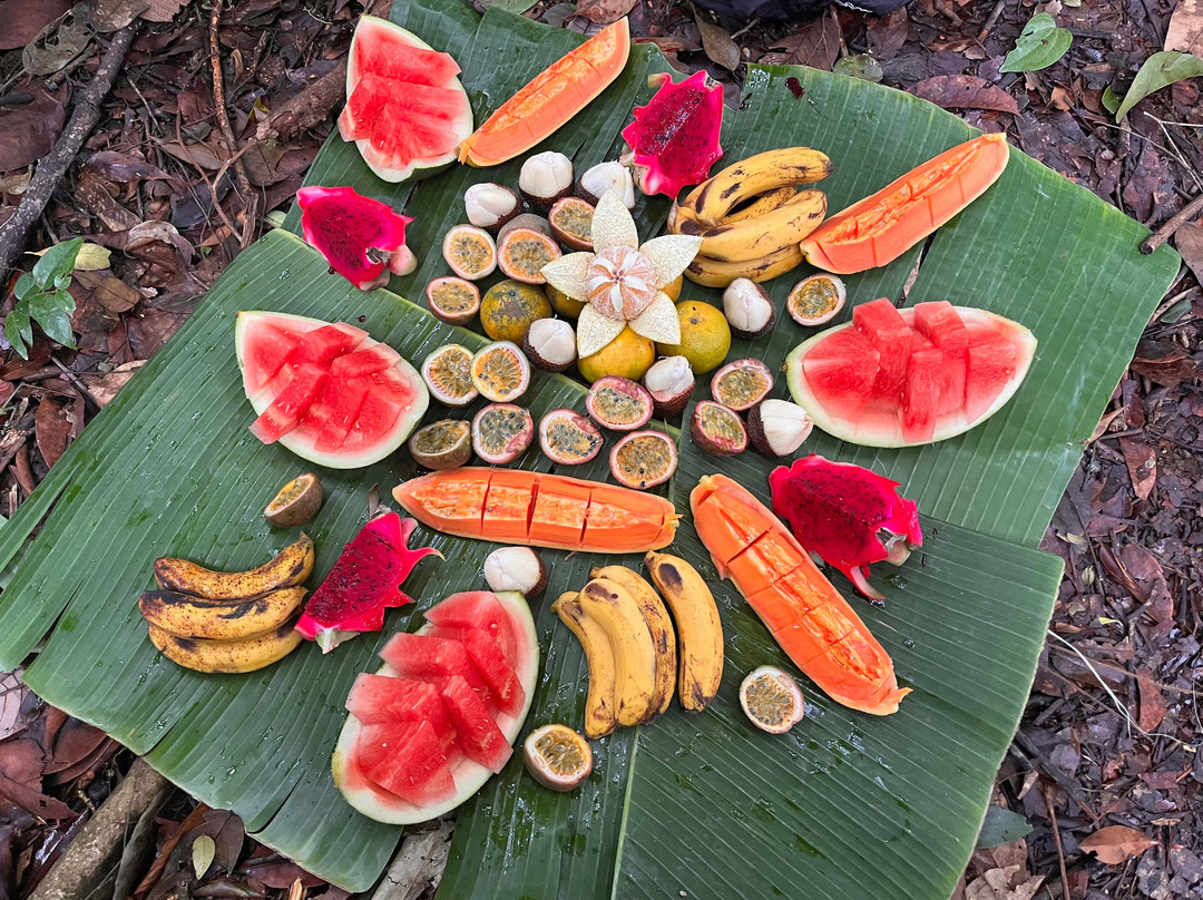 EcoTravel Bukit Lawang - Tours & Treks-武吉拉旺必去景点