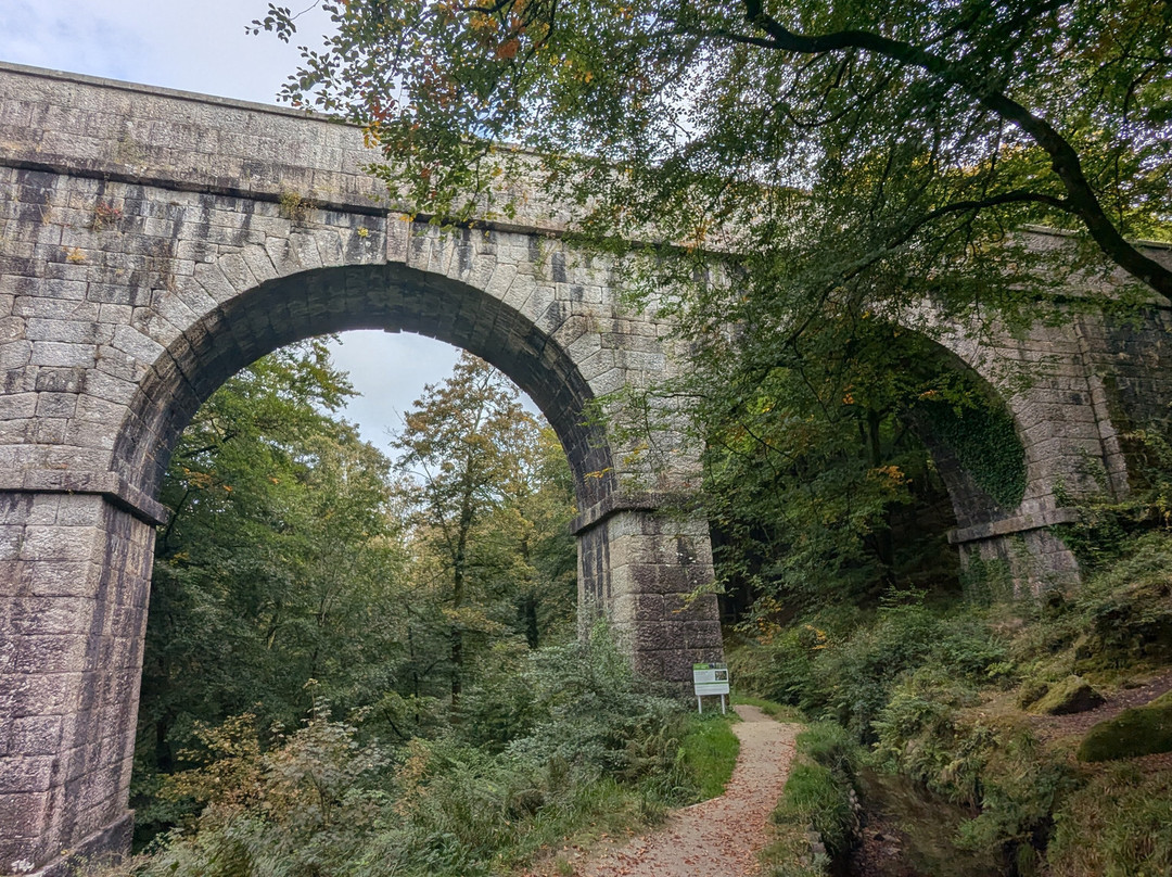 Luxulyan Valley to Prideaux Circular Walk-St Blazey必去景点