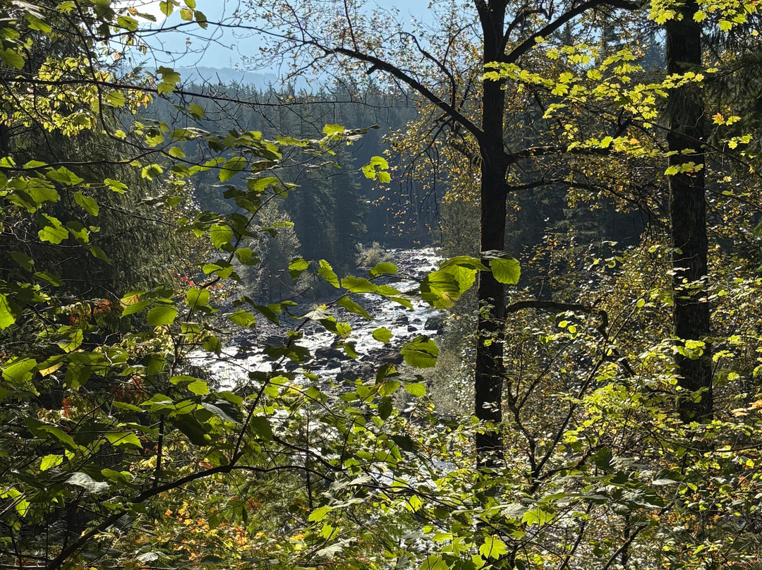 The Roaring River Bed & Breakfast主图