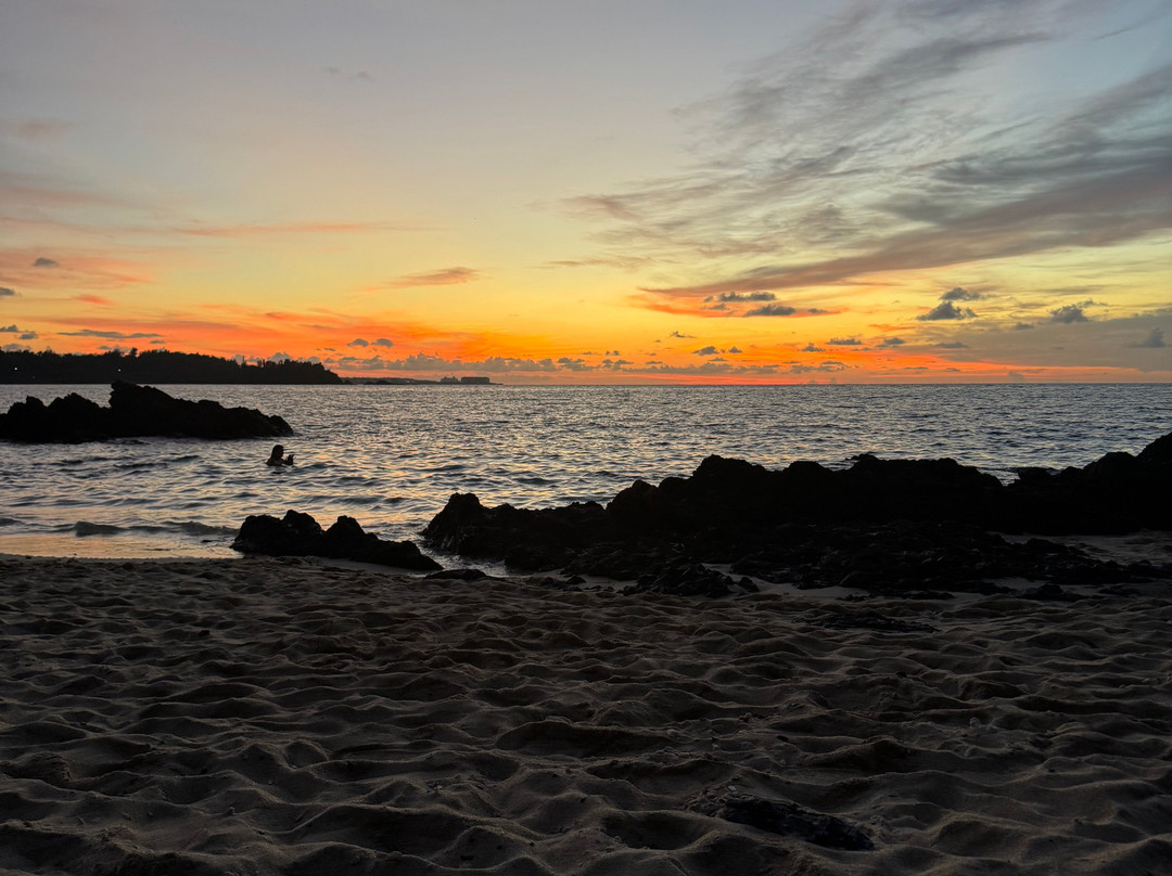 Piranha Divers Okinawa-恩纳村必去景点