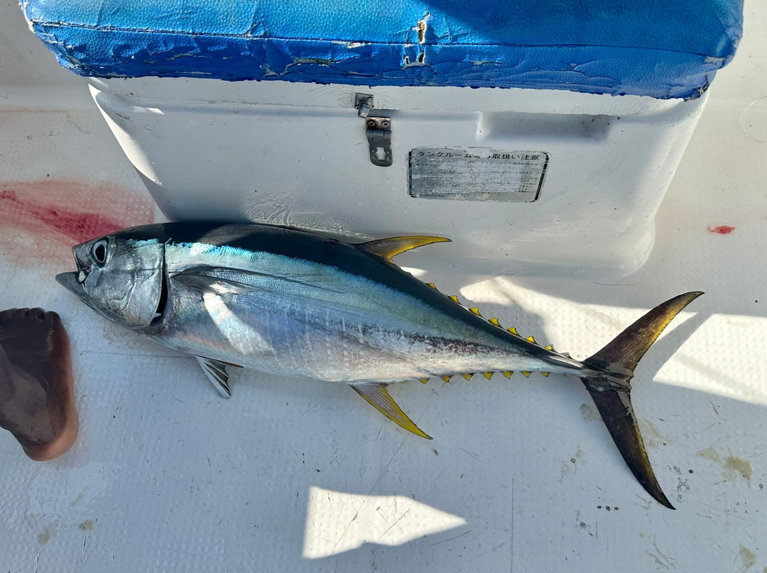 Panamwe Tours & safaris-Pwani Mchangani必去景点