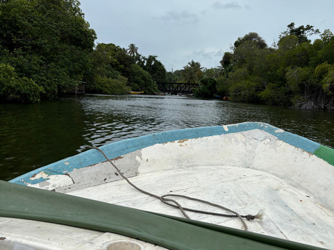 Ceylon Tours with Shiran-尼甘布必去景点