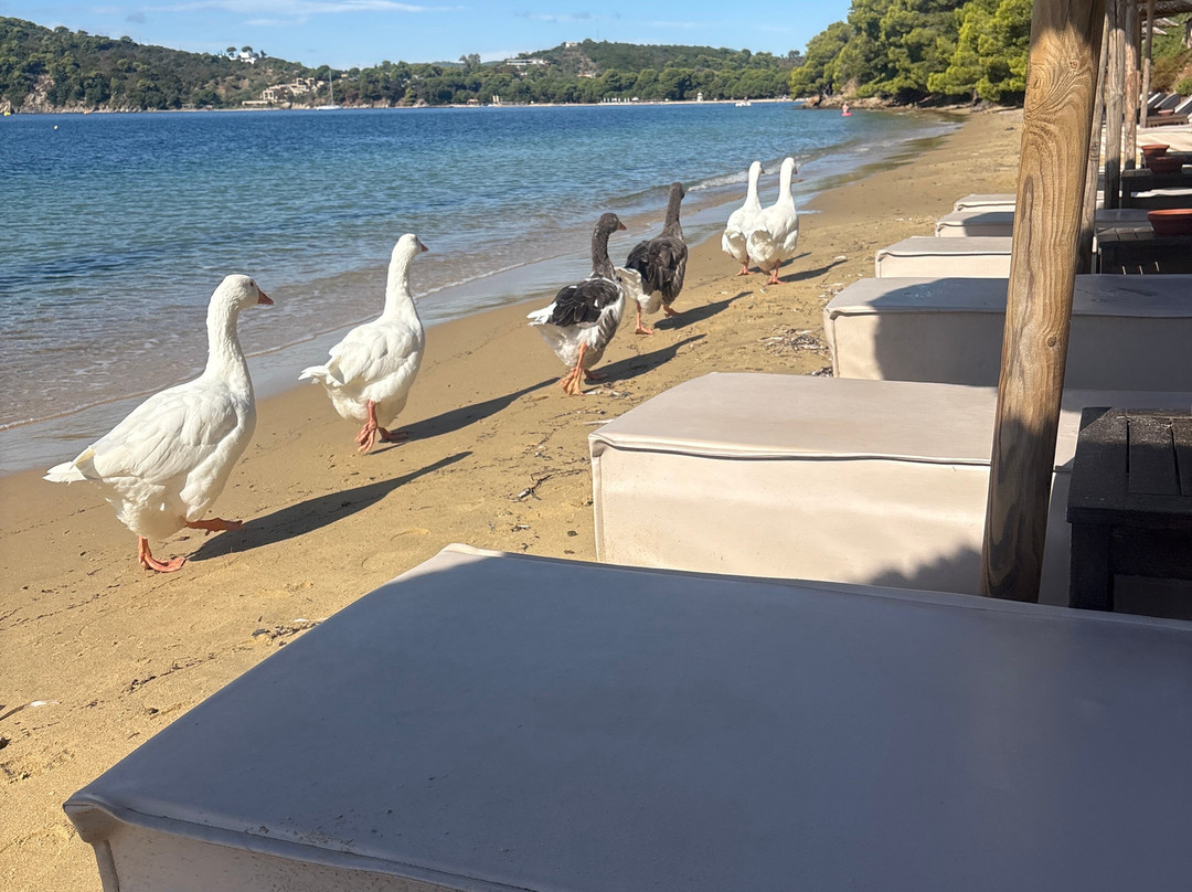 Maratha Beach-Maratha必去景点