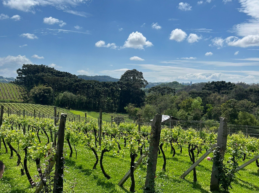 Vinhos Larentis-本图贡萨尔维斯必去景点