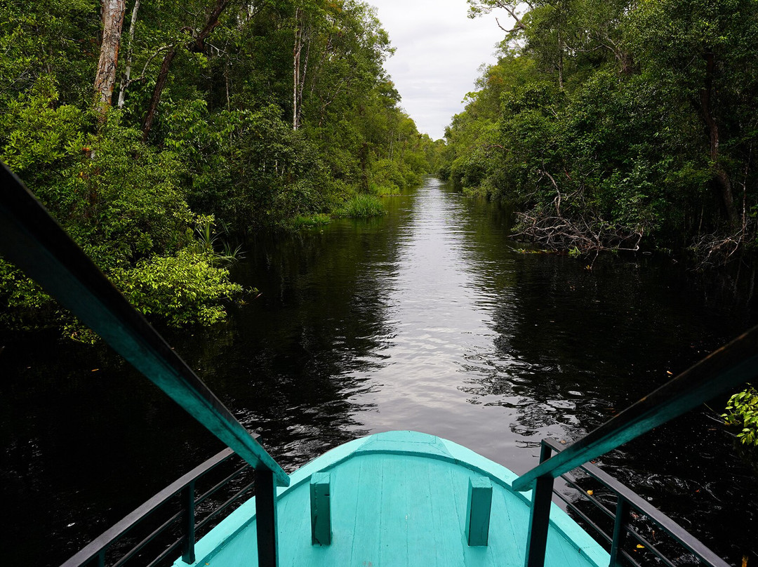 Bali Profond-登巴萨必去景点