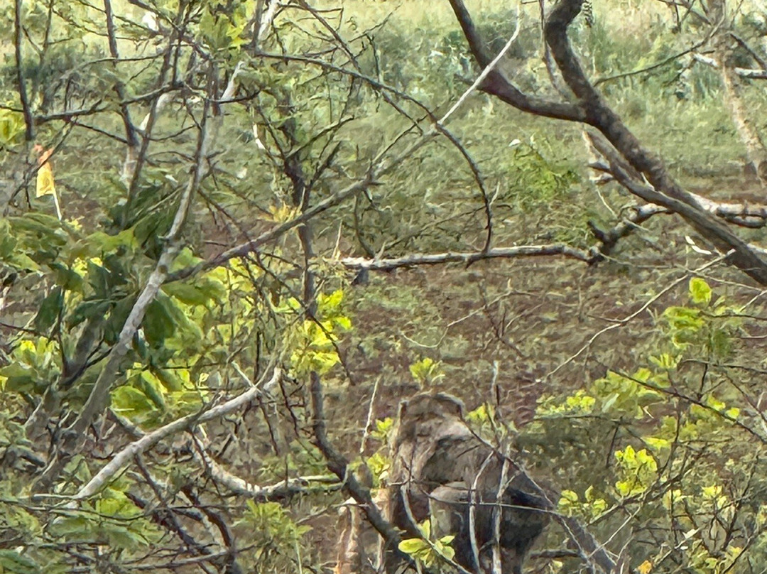 Rochester Falls-Souillac必去景点
