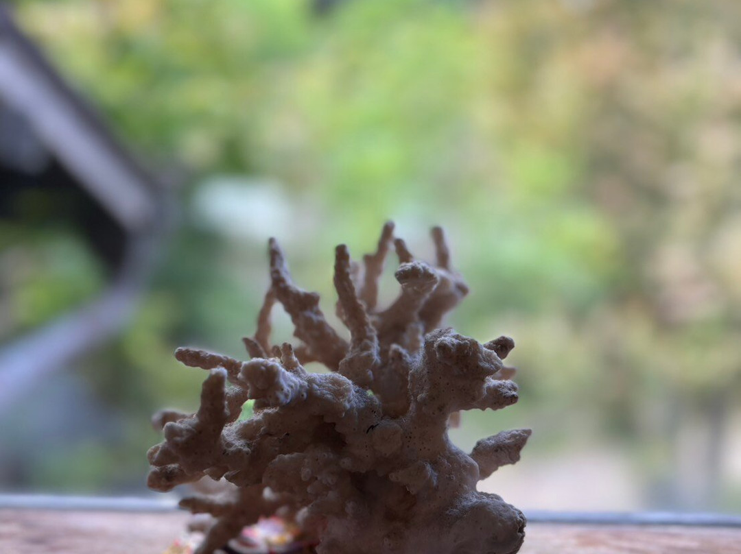 平山日式旅馆主图