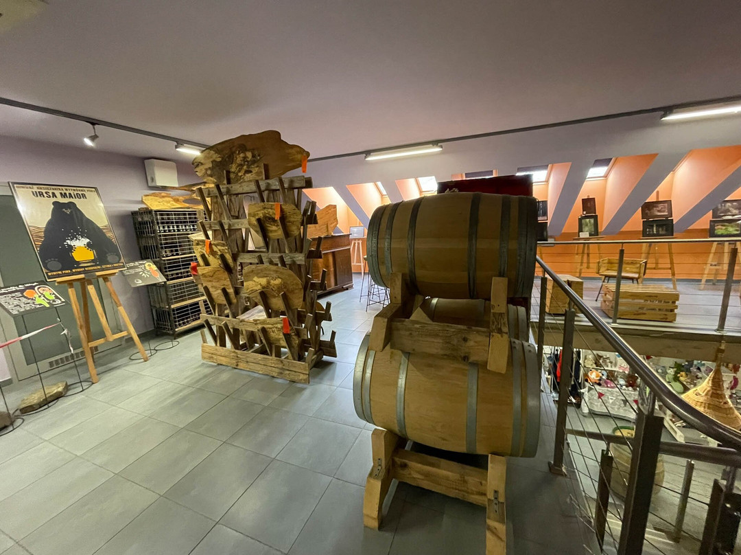 Ursa Maior Concept Craft Brewery-Ustrzyki Dolne必去景点