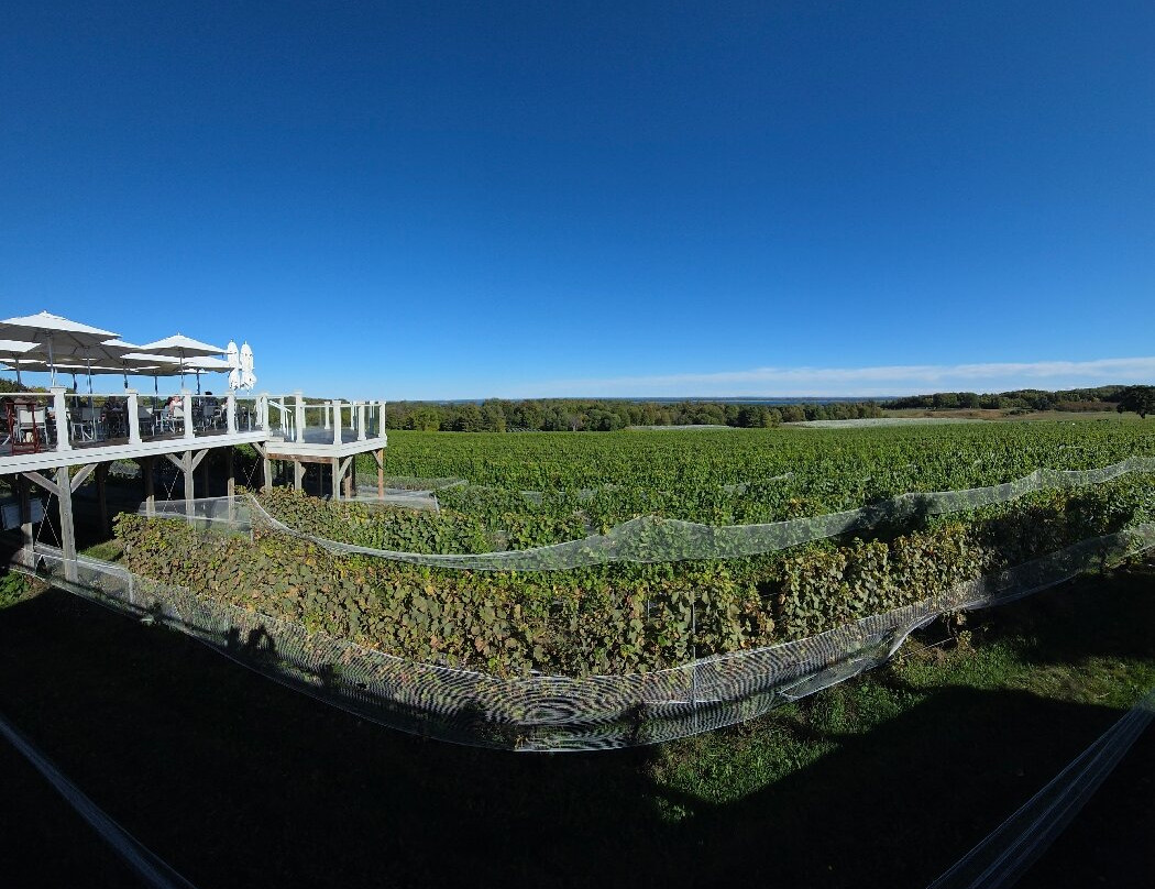 Brys Estate Vineyard & Winery-特拉弗斯城必去景点