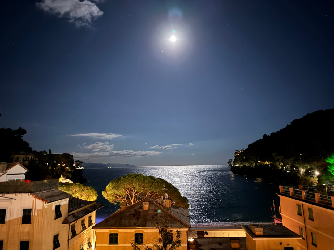 Hotel Argentina Portofino主图