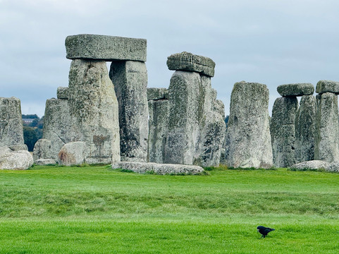 Londoncruise - Transfers-伦敦必去景点