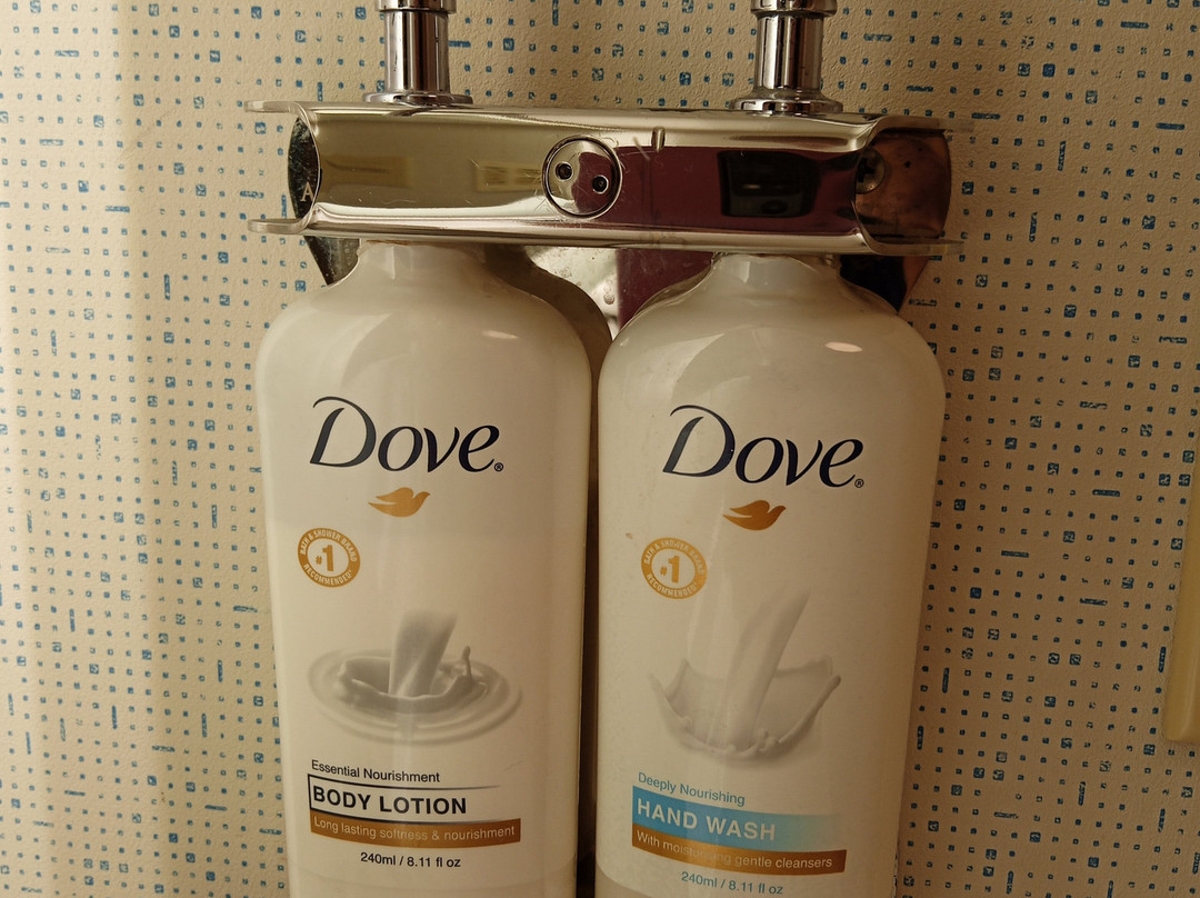 罗谢尔智选假日酒店主图