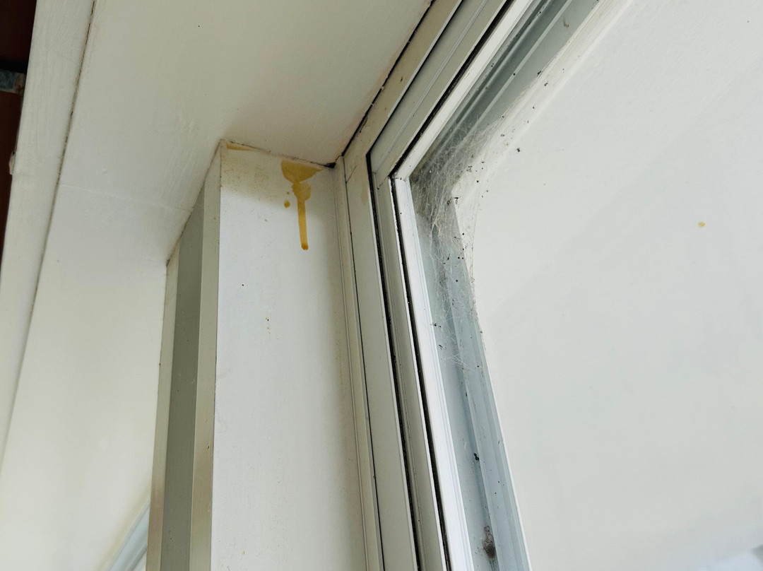 狐狸和猎犬酒店主图