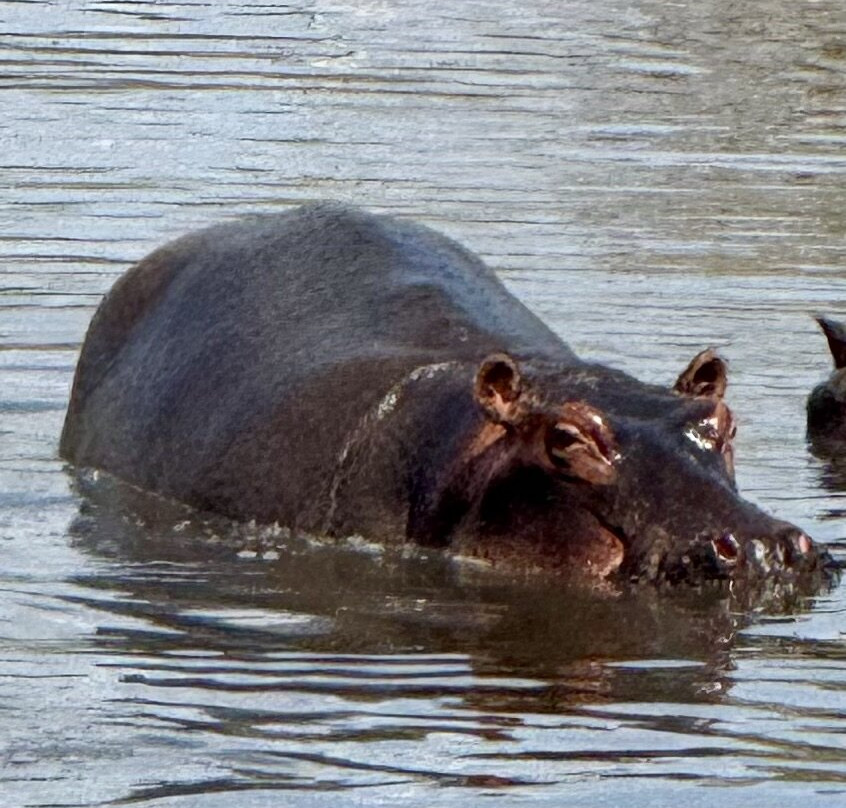 Nyerere National Park-Lindi Region必去景点