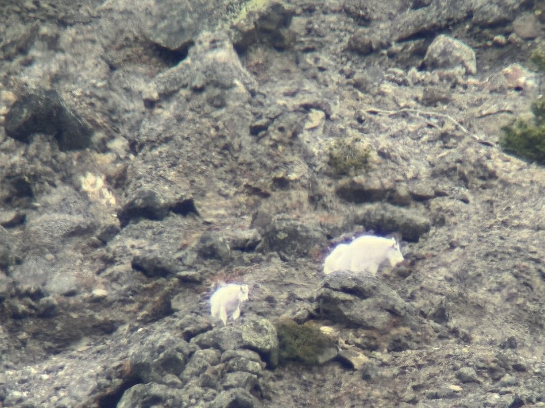 Lamar Valley Touring-加德纳必去景点