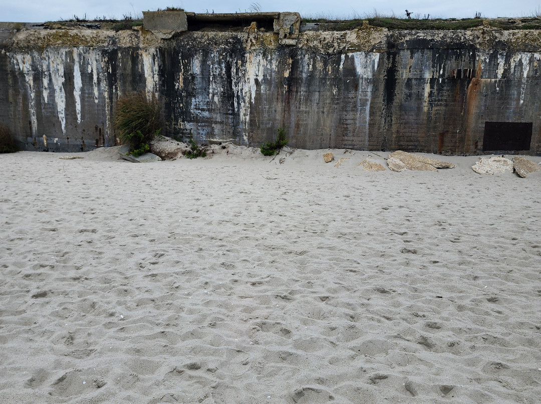 Wwii Bunker At Cape May Point-开普梅必去景点