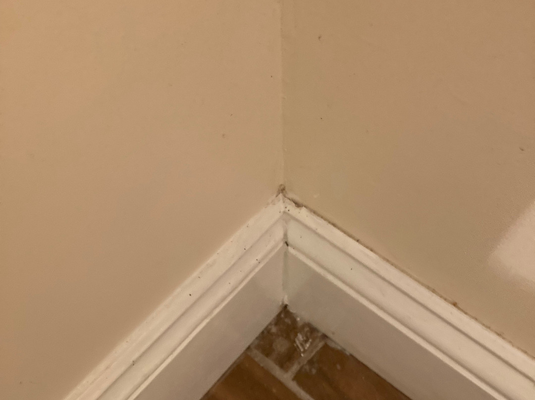 Gauthier's Saranac Lake Inn and Hotel主图