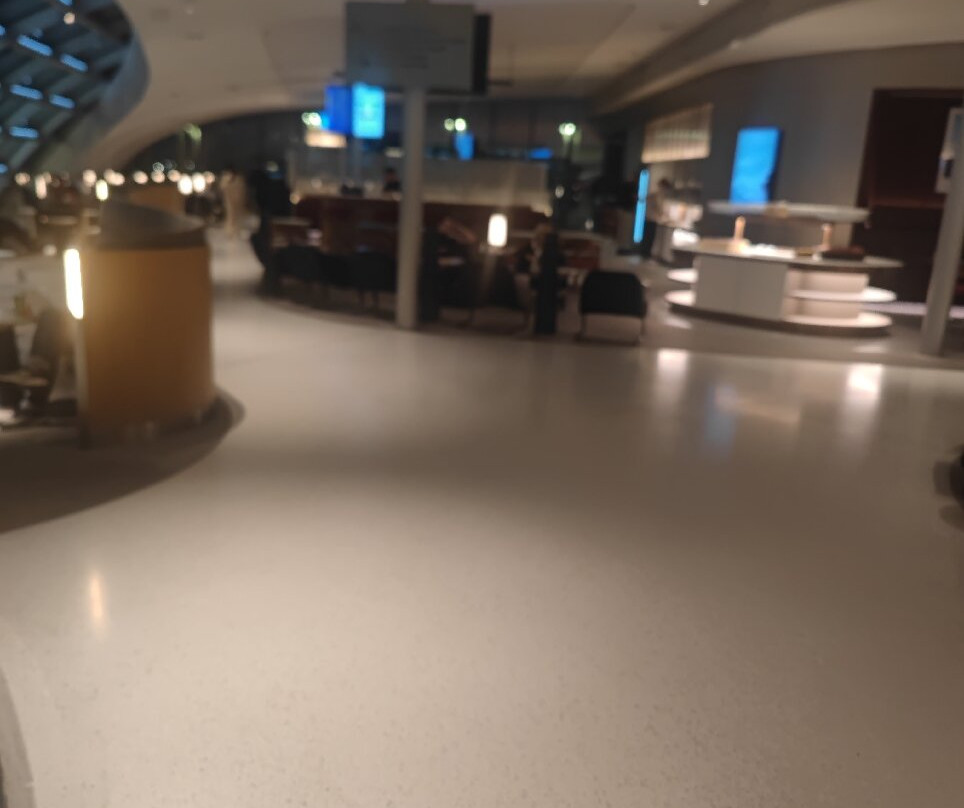 Salon Air France Terminal 2E-鲁瓦西必去景点