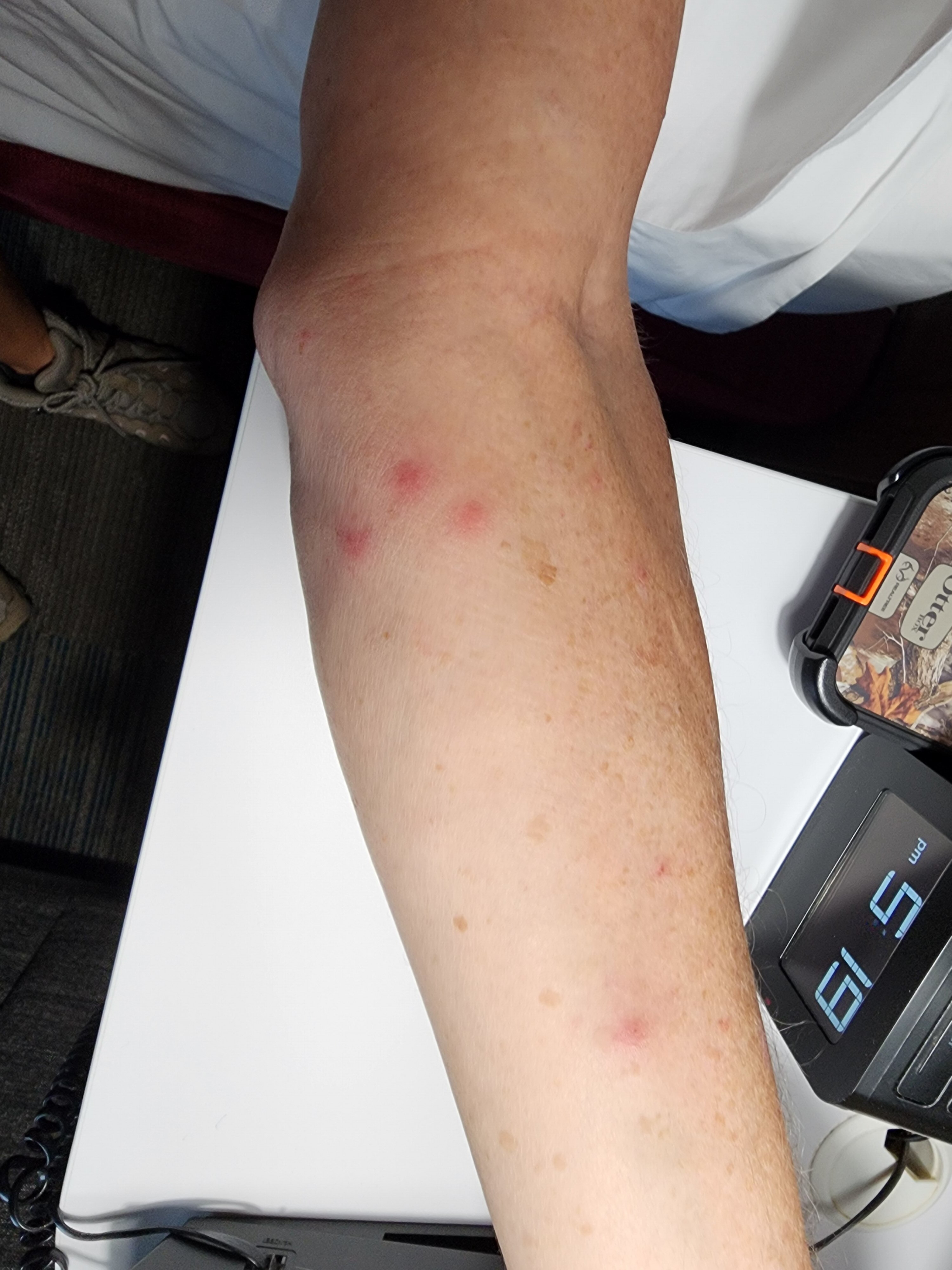 Comfort Inn Camp Verde - I-17 Exit 287 Arizona 260-官方