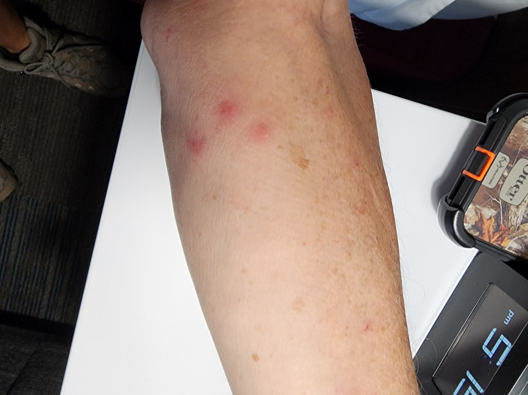 Comfort Inn Camp Verde - I-17 Exit 287 Arizona 260主图