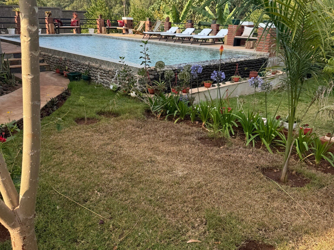 Nature Responsible Safari-阿鲁沙必去景点