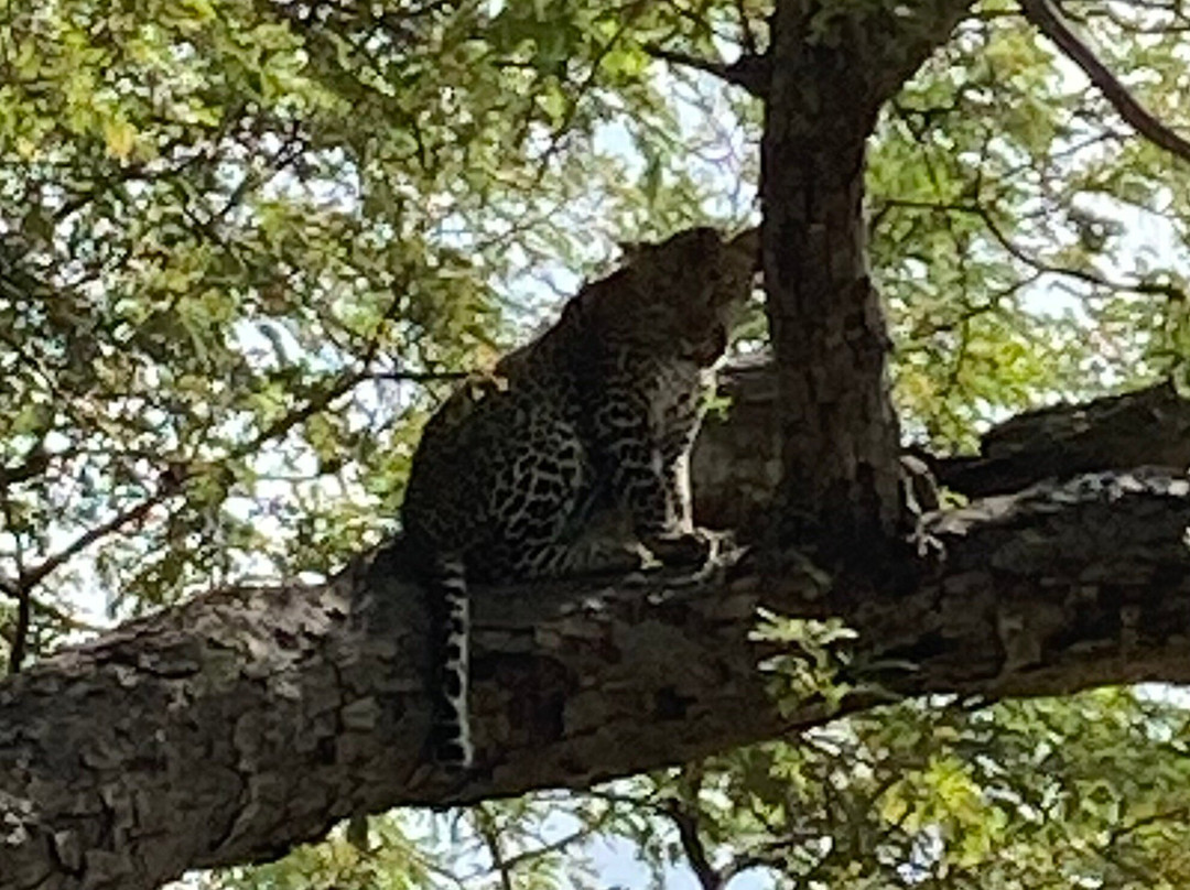 Martins Safaris-米库米国家公园必去景点