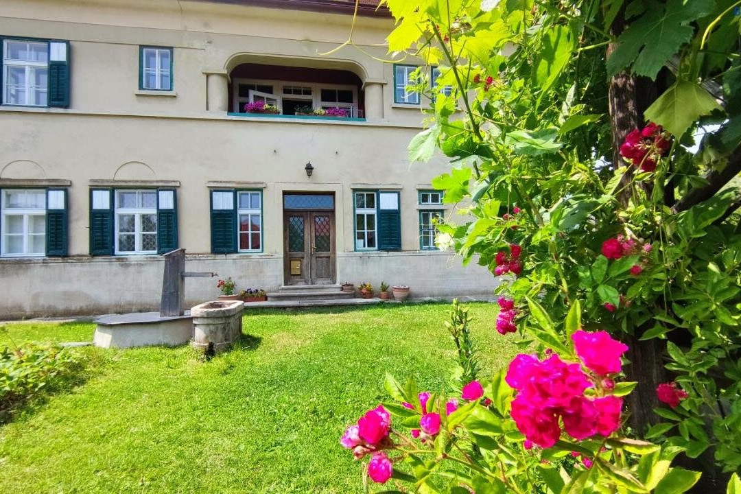 Vila Jasna