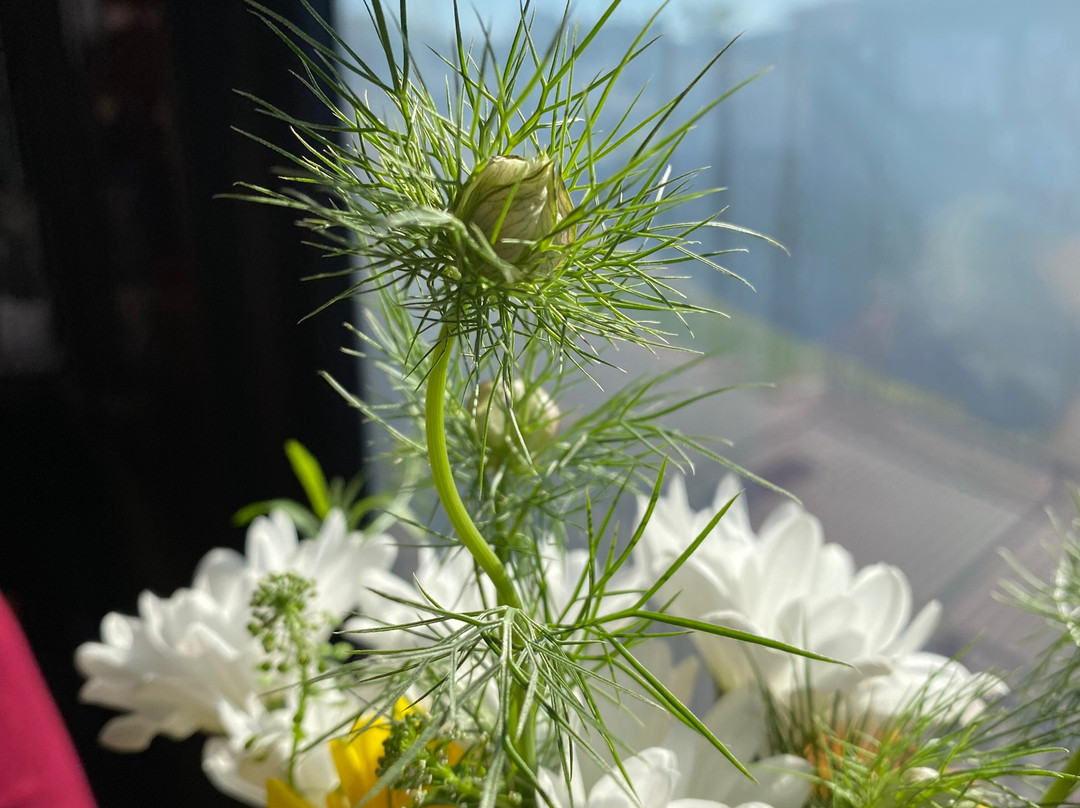 Champlain Valley Dinner Train-伯灵顿必去景点