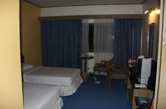 隆披尼公园品尼高酒店主图