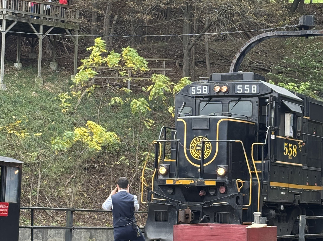 Tracks and Yaks-弗罗斯特堡必去景点