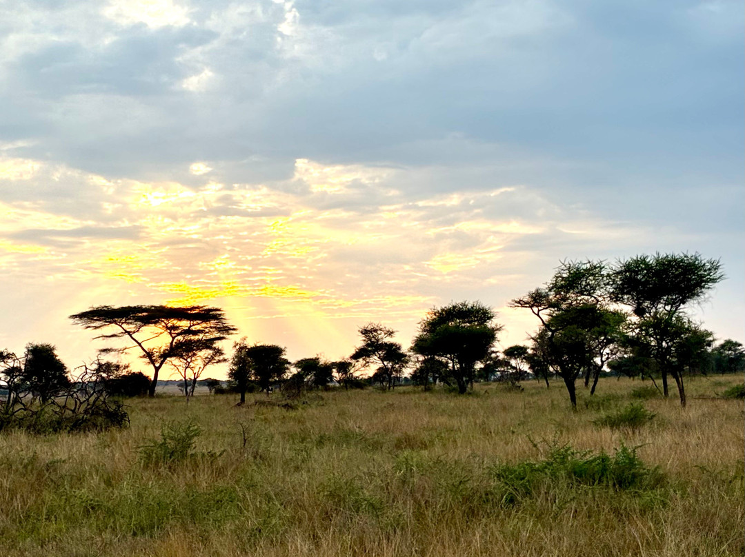Makasa Tanzania Safaris-莫西必去景点
