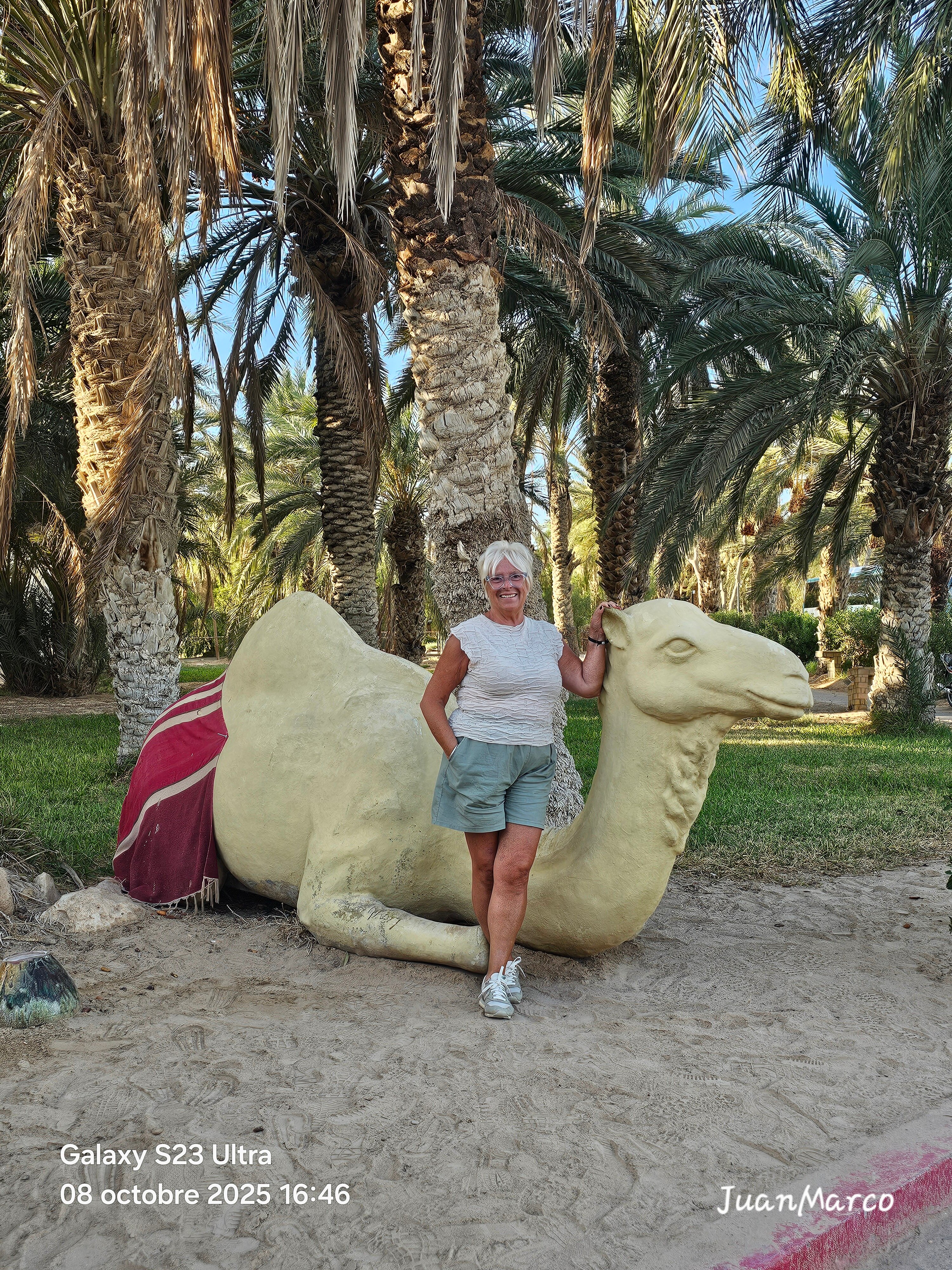 太阳棕榈酒店-官方