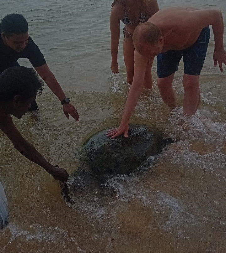 Snorkeling with Sandaru-希克杜沃必去景点