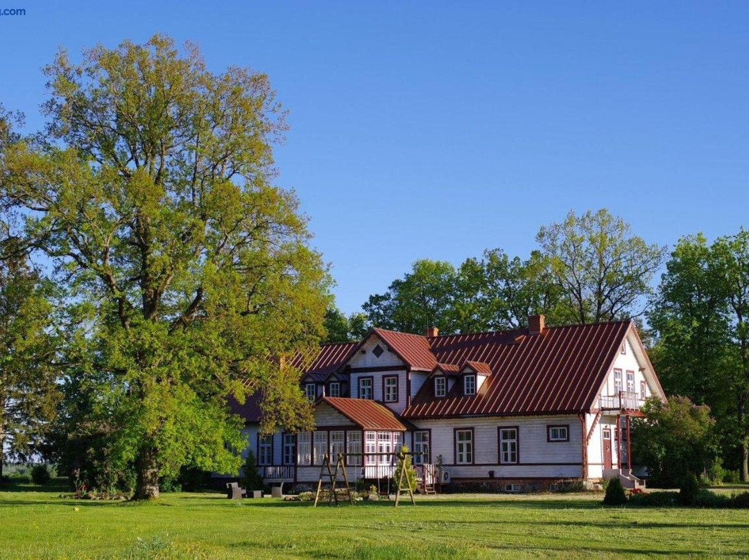 Kursi Summer Manor