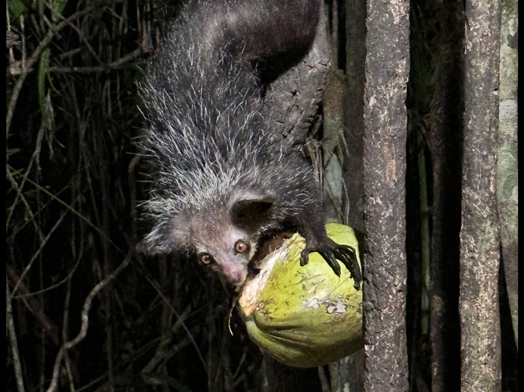 Theo Tours-安塔那那利佛必去景点