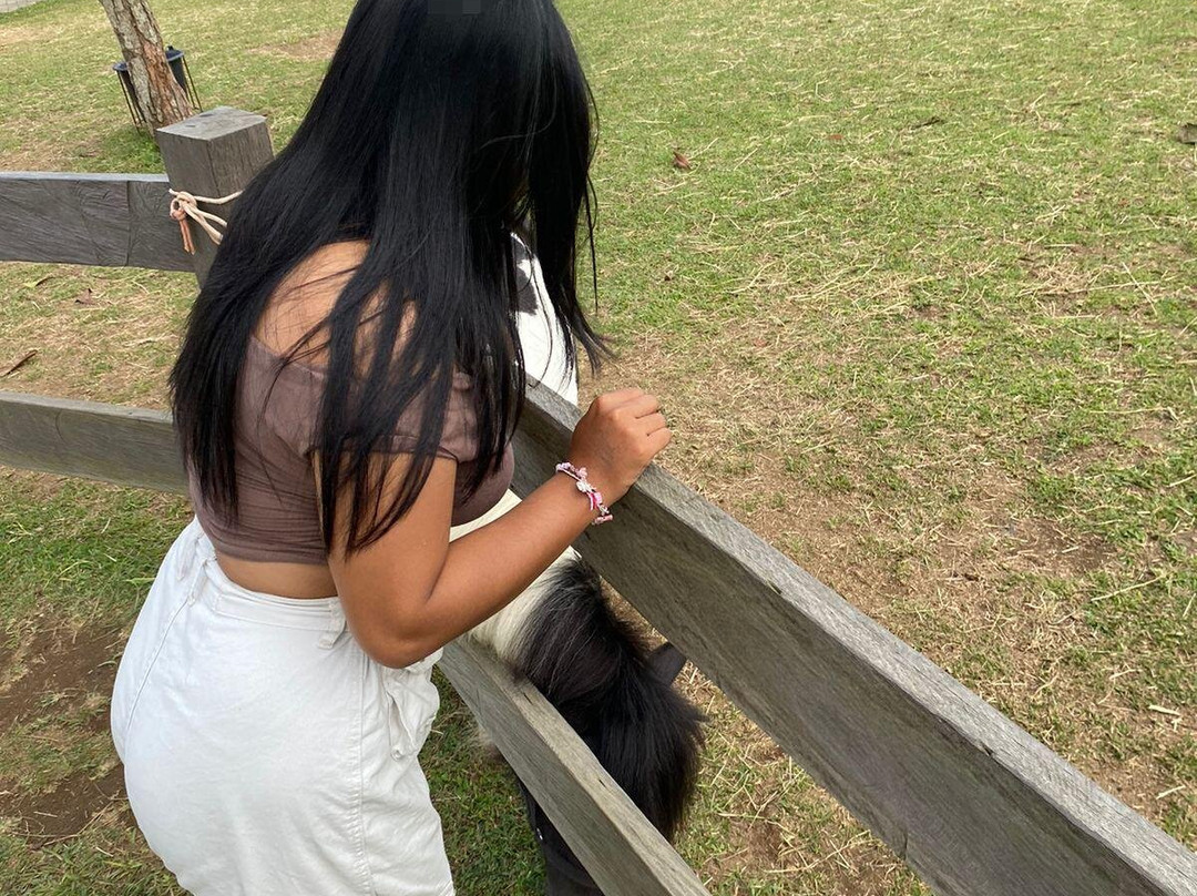 Bali Farm House-Pancasari必去景点